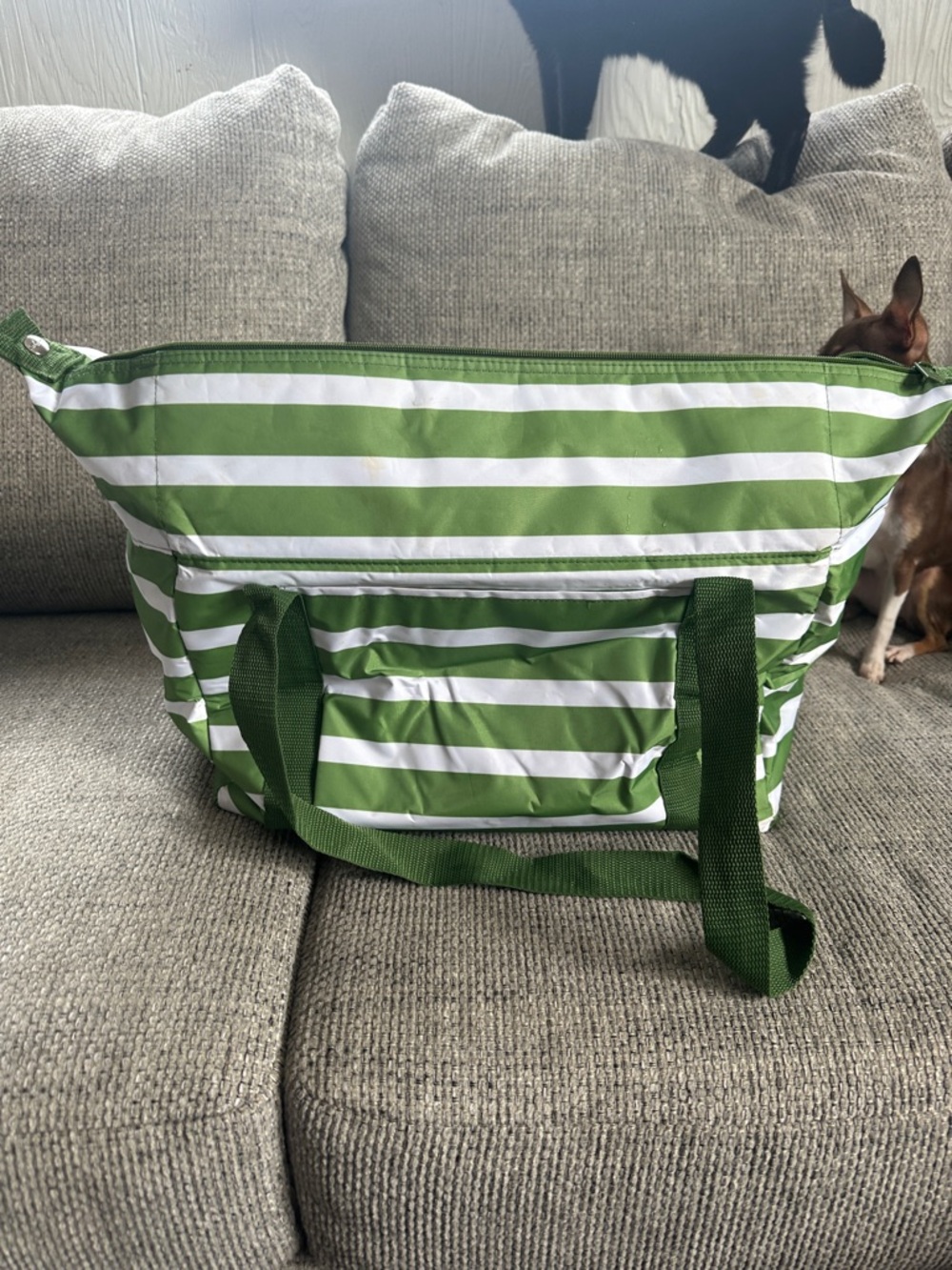 thirty-one Green and White Striped cooler tote